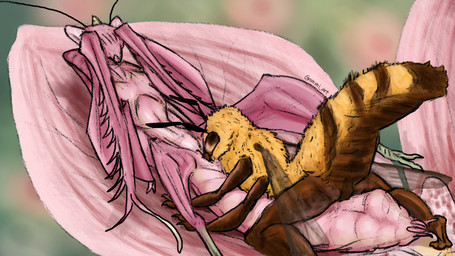 antennae_(anatomy) anthro arthropod_abdomen belly big_abdomen blade_arm blurred_background blush blush_lines compound_eyes covering covering_face cunnilingus duo embarrassed exoskeleton female female/female flower fluffy fluffy_tail glistening glistening_body insect_wings laying_on_partner lying mandibles micro multi_arm multi_limb nude nude_anthro nude_female on_back oral outside outside_sex paws plant questionable_consent raptorial_(anatomy) sex spread_legs spreading tail vaginal wings gummi_art arthropod bee flower_mantis honey_bee hymenopteran insect mantis orchid_mantis 16:9 hi_res widescreen