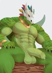 abs anthro balls biceps bone bone_mask genitals green_body green_scales green_skin humanoid_genitalia humanoid_penis male mask muscular muscular_anthro muscular_male non-mammal_balls nude penis scales skull skull_mask solo warsyl terraria witch_doctor_(terraria) lihzahrd lizard reptile scalie