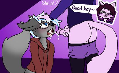 anthro bell bell_collar blue_eyes blue_hair bodily_fluids bottomwear bottomwear_down brown_hair clothed clothing collar cum cum_in_mouth cum_inside cumshot dialogue duo ejaculation eyewear fluffy fluffy_tail fur genital_fluids glasses good_boy grey_body grey_fur hair hand_on_head hoodie magenta_hair male male/male multicolored_hair oral pants pants_down partially_clothed pink_body pink_fur purple_eyes tail text topwear white_hair couldbestella starry_(couldbestella) canid canine domestic_cat felid feline felis fox mammal digital_media_(artwork) english_text hi_res signature