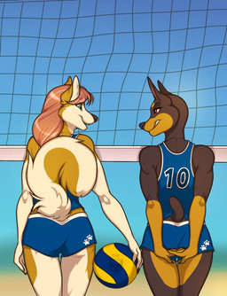 anthro ball beach bottomwear butt clothed clothing duo female fur hair looking_at_another net outside rear_view sand seaside shirt shorts simple_background smile sport standing tail tank_top topwear volleyball volleyball_(ball) volleyball_net volleyball_uniform water inktiger canid canine canis dobermann domestic_dog mammal pinscher shiba_inu spitz digital_media_(artwork)