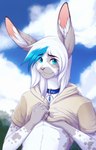 anthro blue_eyes clothed clothing collar day detailed_background eyebrows eyelashes hair hoodie looking_at_viewer male outside sky smile solo topwear white_hair silvyr lagomorph leporid mammal rabbit 2022 digital_media_(artwork) hi_res