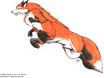 6_limbs anthro black_body black_fur cheek_tuft countershading crotch_tuft facial_tuft fluffy fluffy_tail fur green_eyes jumping male open_mouth orange_body orange_fur simple_background solo tail tongue tuft white_body white_fur andrew_pidcock shaterri canid canid_taur canine canine_taur fox fox_taur mammal mammal_taur taur 1995 signature