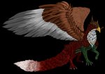 feathers feral flower fur male plant rose_(flower) scales solo tail xyverious mythology granistad avian canid canine dragon fox gryphon mammal mythological_avian mythological_creature mythological_scalie scalie 2020 alpha_channel digital_drawing_(artwork) digital_media_(artwork) signature