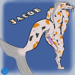 anthro anus big_tail black_spots claws erection fin genitals green_eyes jacob_(spazlovesdew) knot looking_at_viewer looking_back male multicolored_body nude orange_spots penis raised_tail rear_view simple_background slit_penis smile solo spots tail teeth white_body spazlovesdew amur_carp carp cyprinid cypriniform fish koi marine typical_carp hi_res
