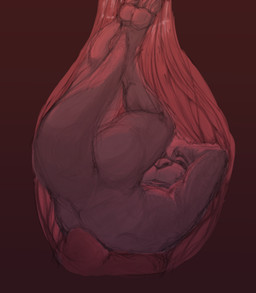 animal_genitalia animal_penis anthro anthro_prey butt canine_genitalia canine_penis duo feet fur genitals hair inside_sheath internal male male/male male_pred male_prey micro micro_prey nude_prey otter_tail penis sheath sheath_vore vore pandottermon mammal mustelid otter 2026 colored hi_res