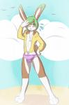 anthro beach bulge clothing femboy green_eyes green_hair hair hoodie male outside seaside solo topwear munkeesgomu lotte_(munkeesgomu) lagomorph leporid mammal rabbit 2012 hi_res