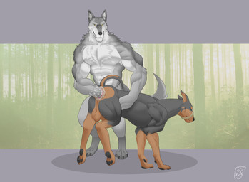 anal anal_fisting anal_penetration anthro anthro_on_feral anthro_penetrating anthro_penetrating_feral balls bdsm bestiality biped bondage bound digitigrade duo feral feral_penetrated fisting forced gaping genitals large_penetration male male/male male_on_feral male_penetrated male_penetrating male_penetrating_male muscular muscular_anthro muscular_feral muscular_male muzzle_(object) muzzled penetration quadruped sex seasonalfungi mythology canid canine canis dobermann domestic_dog mammal mythological_canine mythological_creature pinscher werecanid werecanine werecreature werewolf hi_res