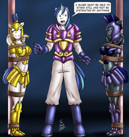 anthro anthrofied armor bdsm black_body black_feathers blue_eyes blush bodily_fluids bondage bound dialogue feathered_wings feathers female galea group headgear helmet horn male pole restraints rope rope_bondage tears text tickling white_body white_feathers wings dakuroihoshi friendship_is_magic hasbro my_little_pony mythology night_guard_(mlp) royal_guard_(mlp) shining_armor_(mlp) bat_pony equid equine hybrid mammal mythological_creature mythological_equine pegasus unicorn 2015 absurd_res english_text hi_res