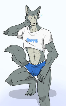 5_toes anthro athletic athletic_anthro athletic_male biped black_claws black_nose claws feet fur grey_tail male multicolored_body solo tail tan_body tan_fur toes two_tone_body spicedpopsicle beastars legoshi_(beastars) canid canine canis mammal wolf 2020 colored hi_res