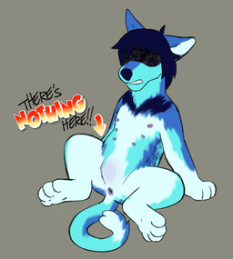 ambiguous_gender anus bared_teeth blue_body blue_fur featureless_crotch feral feralized fur hair multi_nipple nipples nude nullo simple_background solo spread_legs spreading tail text puppyratcat deltarune undertale_(series) kris_(deltarune) canid canine canis domestic_cat domestic_dog felid feline felis hybrid mammal xog