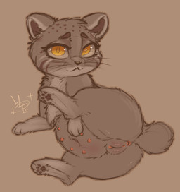 8_nipples :3 anus bedroom_eyes belly butt chest_tuft digitigrade facial_stripes female female_feral feral fur genitals high-angle_view holding_belly humanoid_genitalia humanoid_genitalia_on_feral humanoid_vulva humanoid_vulva_on_feral looking_at_viewer looking_up lying multi_nipple narrowed_eyes nipples on_side orange_eyes outline pawpads pregnant pregnant_feral presenting presenting_anus presenting_hindquarters presenting_vulva pupils seductive short_tail simple_background slit_pupils solo tail tan_background tuft vulva whiskers y_anus wolps felid feline mammal pallas's_cat 2024 full-length_portrait portrait
