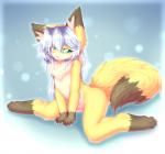 anthro female green_eyes hair kemono long_hair nude purple_hair solo hazukikai noel_(hazukikai) canid canine fox mammal hi_res