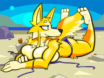 ambiguous_gender anthro beach big_breasts bikini breast_squish breasts clothing duo female fluffy fluffy_tail fur lying on_front outside purple_bikini purple_clothing purple_eyes purple_swimwear solo_focus squish swimwear tail two-piece_swimsuit yellow_body yellow_fur aygee rusty_seas johnny_(johnnycoon) kammy_(aygee) canid canine canis domestic_dog mammal procyonid raccoon 2026 4:3