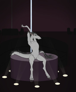 andromorph black_hair blue_eyes claws detailed_background fur genitals grey_body grey_fur hair inside intersex looking_at_viewer nude pecs pole sitting solo spotlight stretching stripper_pole tail vulva plaguelizard mythology dragon furred_dragon furred_scalie mythological_creature mythological_scalie scalie absurd_res digital_media_(artwork) hi_res