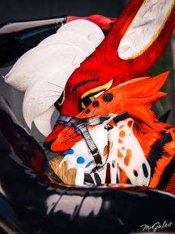 abs animal_genitalia animal_penis anthro armwear balls black_latex blue_body blue_eyes blue_fur blue_penis bodily_fluids brown_body brown_fur brown_sheath canine_genitalia canine_penis clothed clothing cum cum_in_mouth cum_inside duo ejaculation erection forced fur gag genital_fluids genitals glistening glistening_body hair kneeling kneeling_on_ground knot knotted_penis latex latex_armwear latex_clothing latex_legwear latex_skinsuit legwear male male/male male_penetrated male_penetrating male_penetrating_male multicolored_body multicolored_fur multicolored_hair muscular muscular_male oral penetration penile penis red_body red_fur reflection ring_gag sex sheath skinsuit tail tight_clothing worship mrgaleo isaacjexo canid canine canis jex mammal rexouium wolf 3:4 3d_(artwork) absurd_res digital_media_(artwork) hi_res