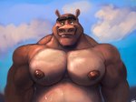 anthro clothed clothing eyebrows male muscular muscular_anthro muscular_male nipples outside pecs sky solo topless wet karrnade dreamworks madagascar_(series) moto_moto common_hippopotamus hippopotamid mammal hi_res