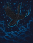 ambiguous_gender cloud detailed_background feathered_wings feathers feral flying night outside sky solo star starry_sky tail wings katie_hofgard nym_(katie_hofgard) alecani canid canine canis mammal wolf 2011