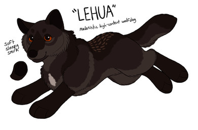 ambiguous_gender black_body black_fur black_nose black_text brown_eyes digitigrade feral fur grey_body grey_fur paws simple_background snout solo tail text white_background maligaytor canid canine canis hybrid mammal wolfdog 2026 character_name digital_drawing_(artwork) digital_media_(artwork) english_text flat_colors handwritten_text hi_res model_sheet