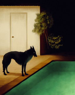 ambiguous_feral ambiguous_gender black_body black_fur building door feral fur glowing glowing_eyes horror_(theme) liminal_spaces night outside plant quadruped solo standing swimming_pool teeth tree water dappermouth canid canine canis domestic_dog mammal 2018 hi_res