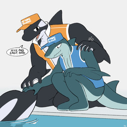 anthro anthro_focus athletic athletic_anthro athletic_male biped black_body blue_body duo_focus feral group male muscular muscular_anthro muscular_male poolside swimming_pool trio hacony aquatic cetacean dolphin fish mammal oceanic_dolphin orca shark toothed_whale 1:1 2024 hi_res