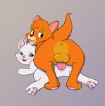 bangs duo feet female feral fur genitals male orange_body orange_fur pawpads penetration penile penile_penetration penis penis_in_pussy vaginal vaginal_penetration white_body white_fur young sherwind52 disney oliver_and_company the_aristocats marie_(aristocats) oliver_(disney) domestic_cat felid feline felis mammal absurd_res hi_res