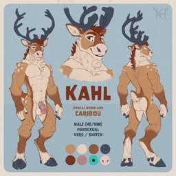 animal_genitalia animal_penis anthro antlers balls equine_genitalia equine_penis flaccid genitals horn looking_at_viewer male multiple_angles muscular muscular_male nude nude_anthro penis scut_tail short_tail simple_background solo standing tail text kahlua_caribou deer mammal new_world_deer reindeer 1:1 english_text model_sheet
