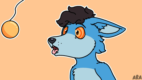 anthro blue_body blue_fur breath brown_hair cross-eyed fur grey_nose hair hypnosis male mind_control open_mouth orange_background orange_eyes panting pendulum pendulum_swing ringed_eyes short_hair simple_background solo tongue tongue_out sammywhich canid canine fox mammal 16:9 2d_animation animated frame_by_frame widescreen