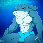 abs anthro balls_outline blue_body blue_clothing blue_scales blue_speedo blue_swimwear bulge clothed clothing detailed_bulge dorsal_fin featureless_chest fin genital_outline gills male mouth_closed multicolored_body multicolored_scales muscular muscular_anthro muscular_male navel penis_outline scales solo speedo speedo_only swimwear topless topless_anthro topless_male two_tone_body two_tone_scales white_body white_scales fabfelipe fish marine shark 2019 digital_media_(artwork) hi_res