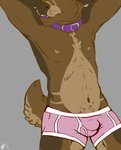 anthro belly bulge clothed clothing collar hands_behind_head male nipples pose solo topless underwear bambii_dog stoobs deer mammal hi_res pinup