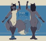 absurd_res anthro biped black_hair canid canine claws countershade_fur countershade_torso countershading dipstick_tail drake_(ceruleandrake) fur grey_body grey_fur hair hi_res hybrid inner_ear_fluff loth-wolf male mammal maned_wolf markings model_sheet rhewlif solo tail tail_markings tuft