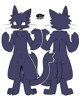 alternate_species anthro arm_tuft biped cat_tail cheek_tuft chest_tuft claws digitigrade elbow_tuft facial_tuft featureless_crotch finger_claws front_view head_tuft looking_at_viewer male multiple_angles nude nude_anthro nude_male pose pupils rear_view simple_background slim slim_anthro slim_male slit_pupils smile solo tuft whiskers white_background pizademokttero nifram_logan domestic_cat felid feline felis mammal 2025 4:5 absurd_res digital_drawing_(artwork) digital_media_(artwork) hi_res model_sheet