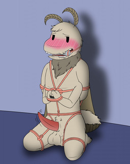 anthro arms_tied balls bdsm bit_gag blush bondage bondage_gear bound gag gagged genitals hands_tied kneeling legs_tied male multi_arm multi_balls multi_genitalia multi_limb penis solo mikey6193 flake_(mikey6193) arthropod insect lepidopteran moth hi_res