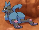 anthro anus black_body black_fur blue_body blue_fur breasts butt eyelashes fangs female fur genitals looking_back open_mouth pawpads presenting pussy red_eyes smile solo teeth yellow_body yellow_fur praiz nintendo pokemon generation_4_pokemon lucario mammal pokemon_(species) hi_res