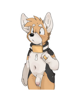 4_fingers anthro collar collar_only digit_ring fingers flaccid foreskin fur genitals inner_ear_fluff jewelry male multicolored_body multicolored_fur navel nipples nude penis ring simple_background solo tuft wedding_ring white_background taro_bubbletea housepets! king_(housepets!) canid canine canis domestic_dog herding_dog mammal pastoral_dog welsh_corgi hi_res portrait three-quarter_portrait