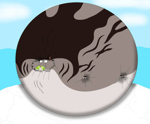 balloon belly belly_expansion big_belly bloated body_inflation expansion fangs female feral gas huge_belly hyper hyper_belly hyper_inflation ice immobile inflatable inflation predator/prey puffed_cheeks puffed_up sabertooth_(anatomy) sea sky solo spherical_inflation swollen teeth water mrd2001 blue_sky_studios ice_age_(series) ice_age_4 shira_(ice_age) felid mammal prehistoric_species saber-toothed_tiger smilodon 2024