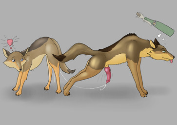 after_sex after_vaginal animal_genitalia animal_penis bodily_fluids canine_genitalia canine_penis cum cum_drip cum_string dripping duo ejaculation erection female female_feral feral feral_on_feral genital_fluids genitals impregnation intraspecies knot knotted_penis male male/female male_feral ovum penis pull_out sperm_cell toony tiny_terrible canid canine canis coyote mammal