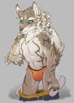 anthro assisted_exposure bottomwear bottomwear_down briefs bulge clothed clothing countershading front_view male pants pants_down partially_clothed shorts solo surprise underwear undressing 1oi conditional_dnp lifewonders tokyo_afterschool_summoners seth_(tas) canid canine canis jackal mammal 2019 absurd_res digital_media_(artwork) hi_res signature