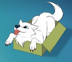 blep blue_eyes box claws container feral fur happy in_box in_container lying male on_front pawpads quadruped solo tongue tongue_out white_body white_fur giru_(artist) wolfeman canid canine canis mammal wolf