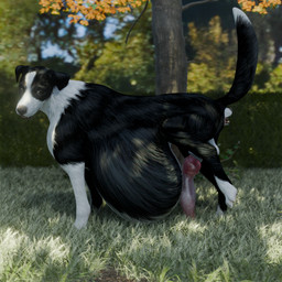 almost_fully_inside anal anal_head_gulp anal_vore animal_genitalia animal_penis canine_genitalia canine_penis duo erection feral feral_pred feral_prey genitals male male/male park penis vore thehellfirehorse border_collie canid canine canis collie domestic_dog herding_dog mammal pastoral_dog sheepdog 1:1 hi_res