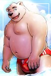 anthro belly black_nose bulge clothing cloud humanoid_hands kemono male moobs navel nipples overweight overweight_male solo sun swimwear white_body kemokemumaki bear mammal polar_bear ursine 2023