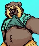 anthro belly blue_background clothed clothing male one_eye_closed open_clothing open_shirt open_topwear overweight overweight_anthro overweight_male shirt simple_background solo topwear wink lentejota6 bear mammal short-faced_bear spectacled_bear 2020 hi_res