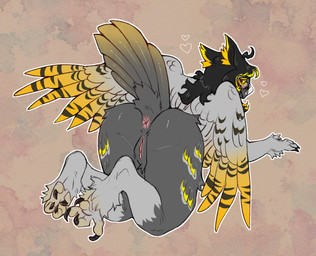 anthro anus butt butt_focus claws feathers feet female foot_focus genitals grey_body heart_symbol looking_at_viewer looking_back outstretched_wings presenting presenting_hindquarters raised_tail solo tail tail_anus tail_feathers toe_claws vulva willow_(fidel) wings yellow_body yellow_eyes kinksiyo avian bird horned_owl owl true_owl hi_res