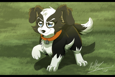 black_body black_fur black_nose blue_eyes collar collar_tag dipstick_tail feral floppy_ears fur grass house_collar_tag markings plant red_collar tail tail_markings white_body white_chest white_fur white_paws thecynicalhound hasbro pound_puppies pound_puppies_(2010) zipper_(pound_puppies) border_collie canid canine canis collie domestic_dog herding_dog mammal pastoral_dog sheepdog 2012