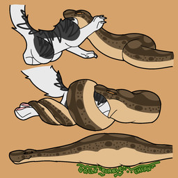 coiling digestion fatal_vore feral oral_vore vore angryrivercat domestic_cat felid feline felis mammal reptile scalie snake 1:1 hi_res