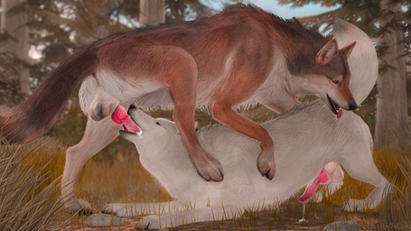 amber_eyes anatomically_correct animal_genitalia animal_penis anus autumn balls black_nose blurred_background bodily_fluids brown_body brown_fur canine_genitalia canine_penis claws cum cum_in_mouth cum_inside cum_on_face cum_on_ground cum_on_penis detailed_background duo ejaculation erection eyes_closed fellatio feral feral_on_feral feral_penetrated feral_penetrating feral_penetrating_feral forest fur genital_fluids genitals grass intraspecies knot knotted_penis leaking_cum leaking_precum looking_pleasured male male/male male_penetrated male_penetrating male_penetrating_male oral oral_penetration paws penetration penile penile_penetration penis plant precum raised_tail realistic_feral sex sheath sky spread_legs spreading tail tail_down teeth toe_claws tongue tongue_out tree white_body white_fur blodrain canid canine canis mammal wolf 16:9 3d_(artwork) digital_media_(artwork) hi_res widescreen