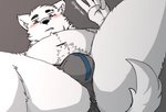 anthro belly blush bulge butt clothing fur humanoid_hands male navel slightly_chubby solo underwear white_body white_fur hagom canid canine canis domestic_dog mammal 2020 hi_res