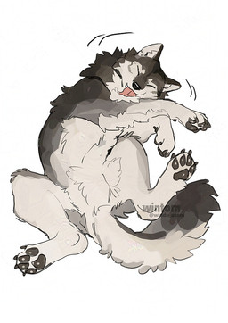 ambiguous_gender black_body black_claws black_ears black_fur black_nose black_pawpads claws countershading featureless_crotch feral fluffy fluffy_tail fur grey_body grey_fur inner_ear_fluff lying multicolored_body multicolored_fur on_back pawpads paws pink_tongue playful pointy_ears prick_ears quadruped snout solo spread_legs spreading tail text tongue tongue_out tuft white_body white_fur white_inner_ear_fluff white_paws wintom canid canine canis mammal wolf 2026 artist_name digital_media_(artwork)