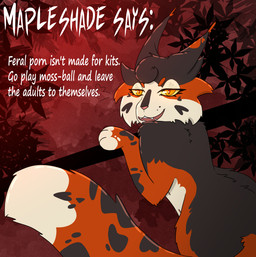 black_body black_fur cheek_tuft curly_hair dipstick_tail explicit_text facial_tuft female feral fluffy fluffy_tail forest fur glowing glowing_eyes hair heart_(marking) looking_at_viewer looking_back looking_back_at_viewer markings multicolored_body multicolored_fur open_mouth plant quote red_background red_body red_fur simple_background smile smiling_at_viewer solo spiky_fur spots spotted_body spotted_fur tail tail_markings text tree tuft white_body white_fur white_tail_tip yellow_eyes whitefroggim warriors_(book_series) mapleshade_(warriors) calico_cat domestic_cat felid feline felis mammal english_text hi_res