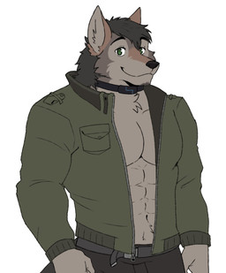 abs anthro belt clothed clothing collar fur green_clothing green_eyes green_jacket green_topwear grey_body grey_fur jacket male male_anthro open_clothing open_jacket open_topwear simple_background solo topwear zipper harukaroto remember_the_flowers patsy_(remember_the_flowers) canid canine canis mammal wolf hi_res