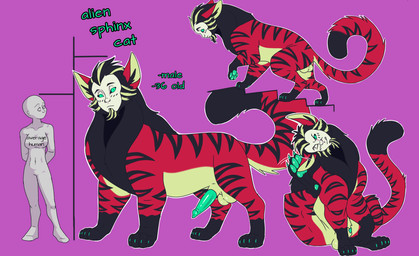 animal_genitalia animal_penis anthro anus balls bestiality big_ears big_penis claws comparing duo faceless_character faceless_female feline_genitalia feline_penis female female_human female_on_anthro feral fluffy fluffy_tail genitals hairless human_on_anthro humanoid_genitalia humanoid_penis interspecies interspecies_bestiality interspecies_romance male male/female mane mask paws penis tail cajuzinho02 anon fan_character alien domestic_cat felid feline felis hairless_cat human hybrid lion mammal pantherine sphynx_(cat) tiger absurd_res hi_res model_sheet